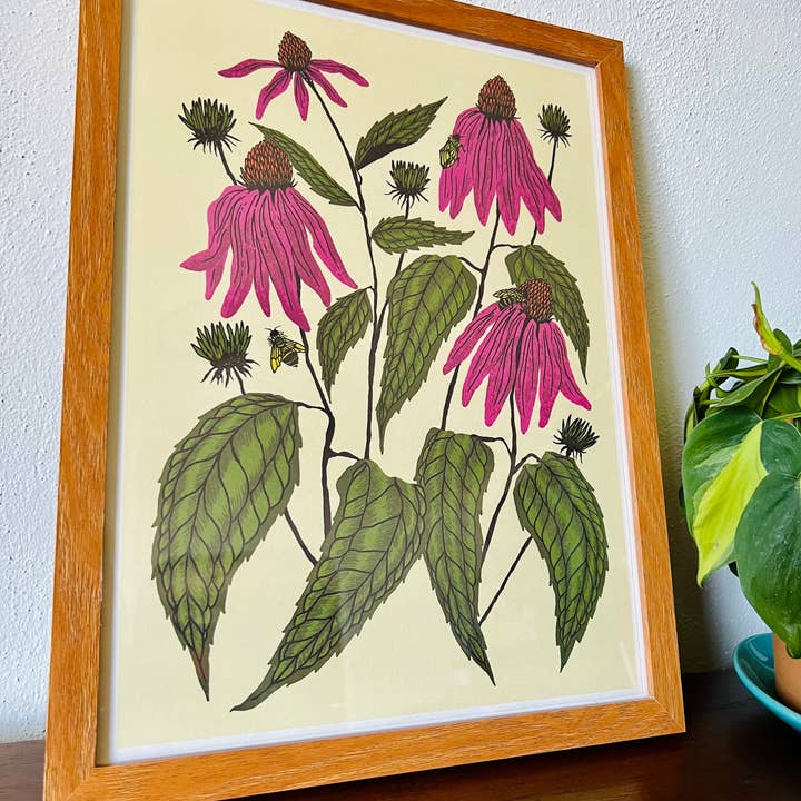 Needlebone, LLC - Wholesale Art Print - Coneflower - 14x11 Print2