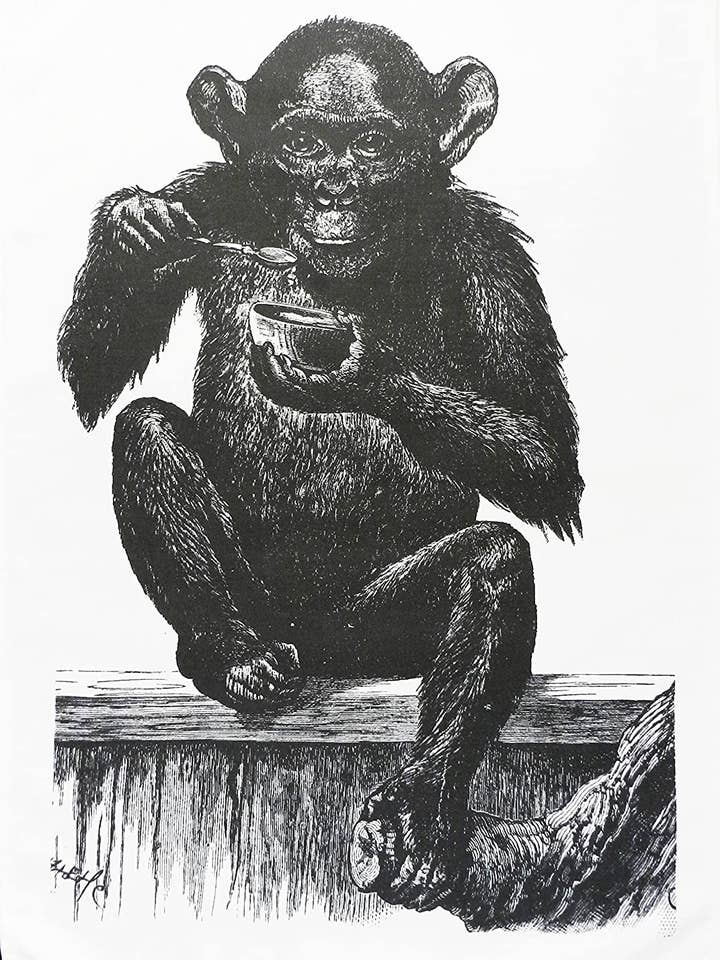 The Hungry Monkey - Retro Style Large Cotton Tea Towel for wholesale by Half a Donkey
