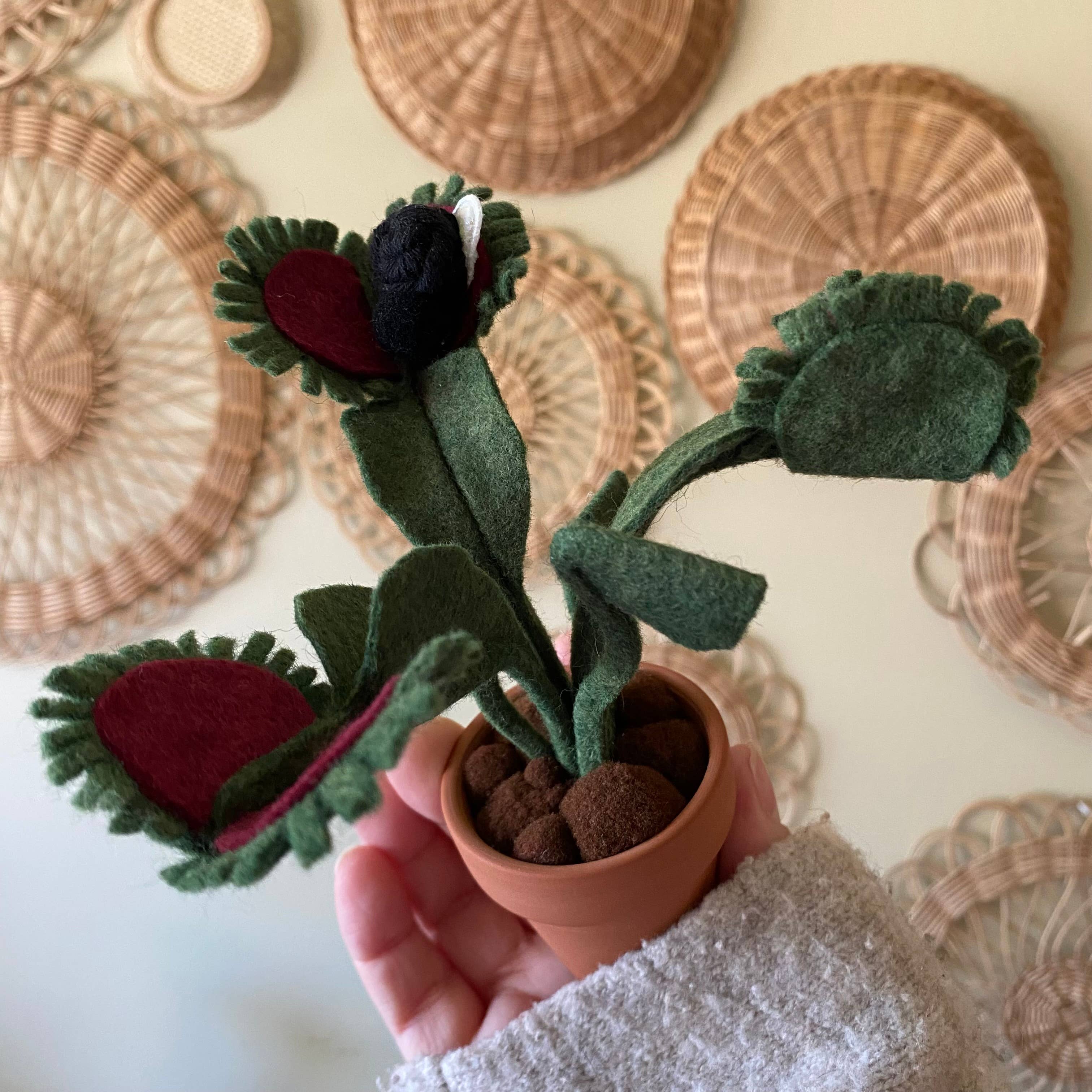 ForgetBKnot - Vente Plantes artificielles - Piège à mouches Vénus en feutre avec mouche en macramé amovible1