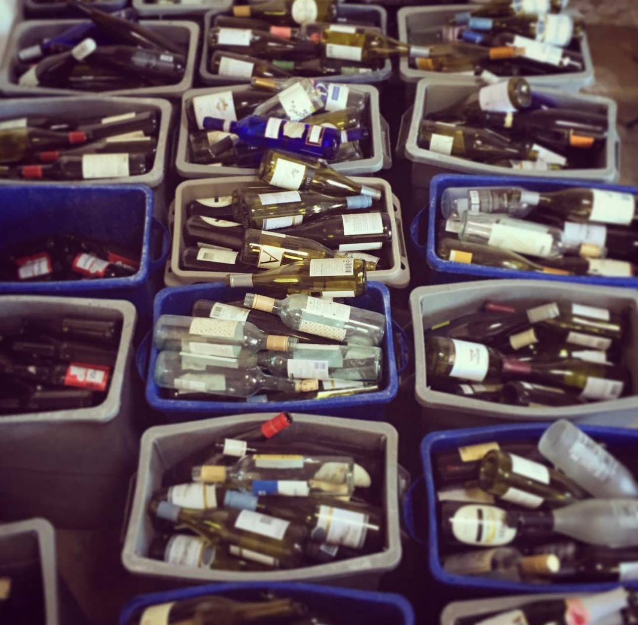 Unwined Candles - Wholesale Jar/Filled Candle - Farmer's Market Signature Series - Wine Bottle Candle9