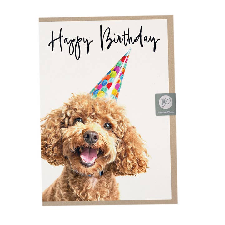 Funny Poodle Birthday Card for wholesale by Postcard Prints