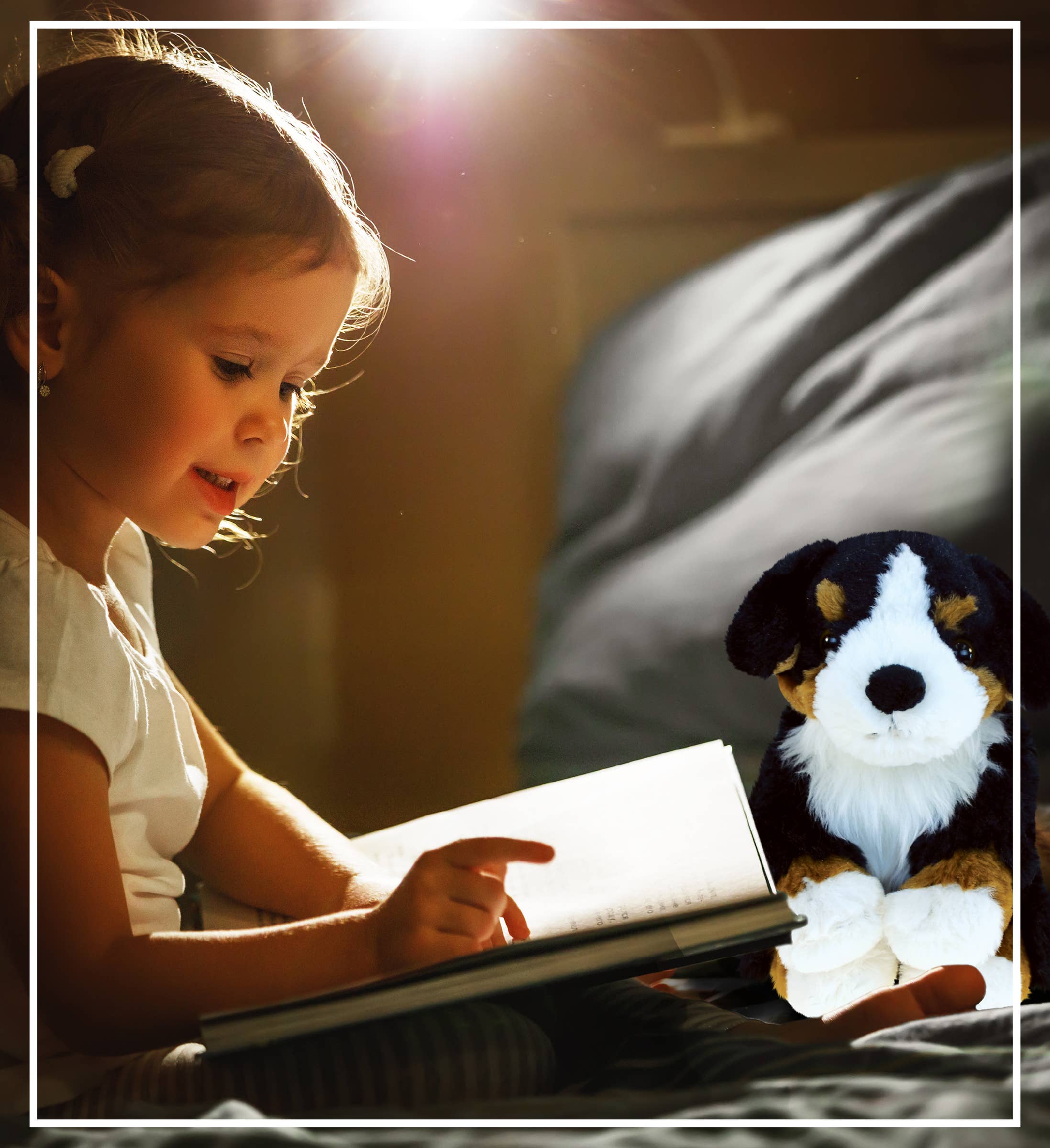 Cota Global – Großhandel Kuschel-/Plüschtier – Kind & Baby – Superweicher Plüsch - Berner Sennenhund5