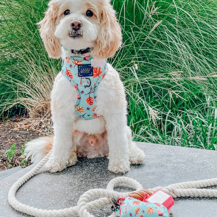 SASSY WOOF - Wholesale Pet Leash - Dog - Dog Rope Leash - Natural3