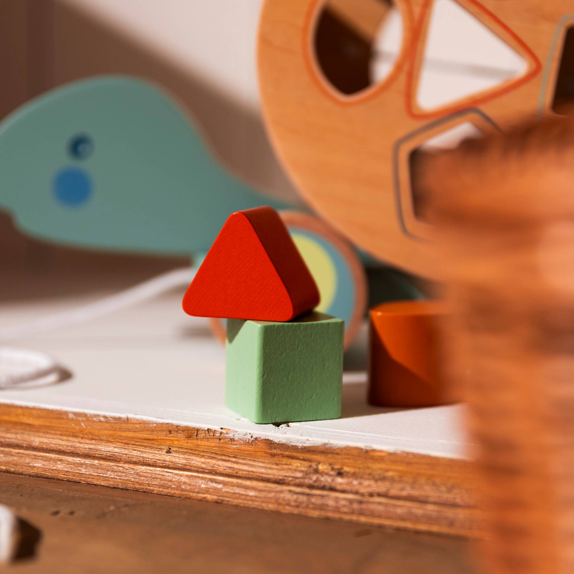 Egmont - Wholesale Wood Toy - Kids - Pull-Along Turtle9