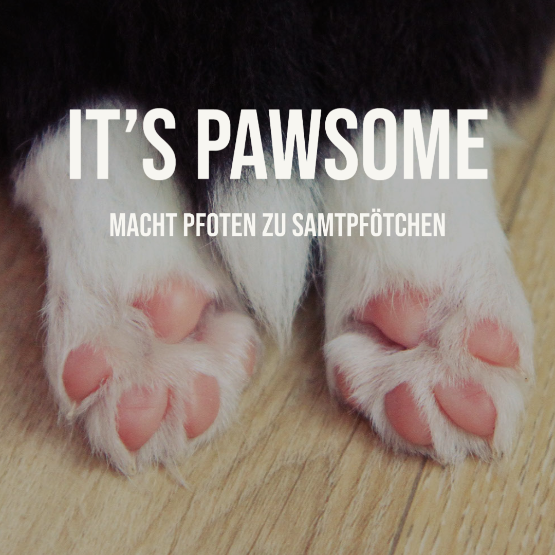 PAMICO - Wholesale Pet Paw Protection - Paw care for dogs2