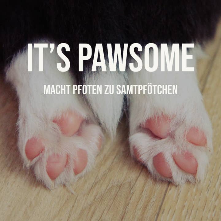 PAMICO - Wholesale Pet Paw Protection - Paw care for dogs2