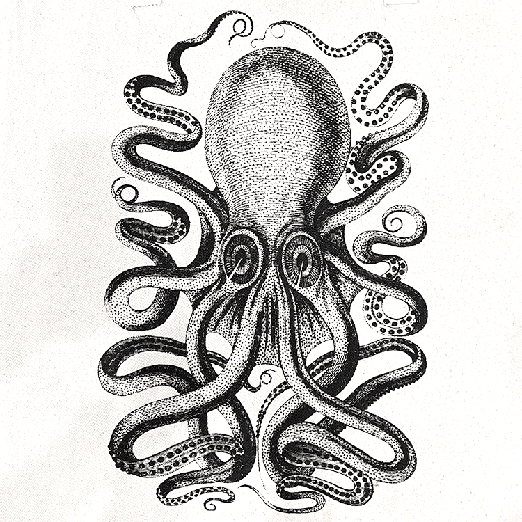 Rubyzaar - Vendita all'ingrosso Portamonete - Unisex - Tasca con cerniera BC 30