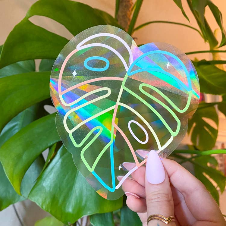 Monstera Leaf Suncatcher Dekal | Rainbow Monstera Dekal för wholesale av Chelzart