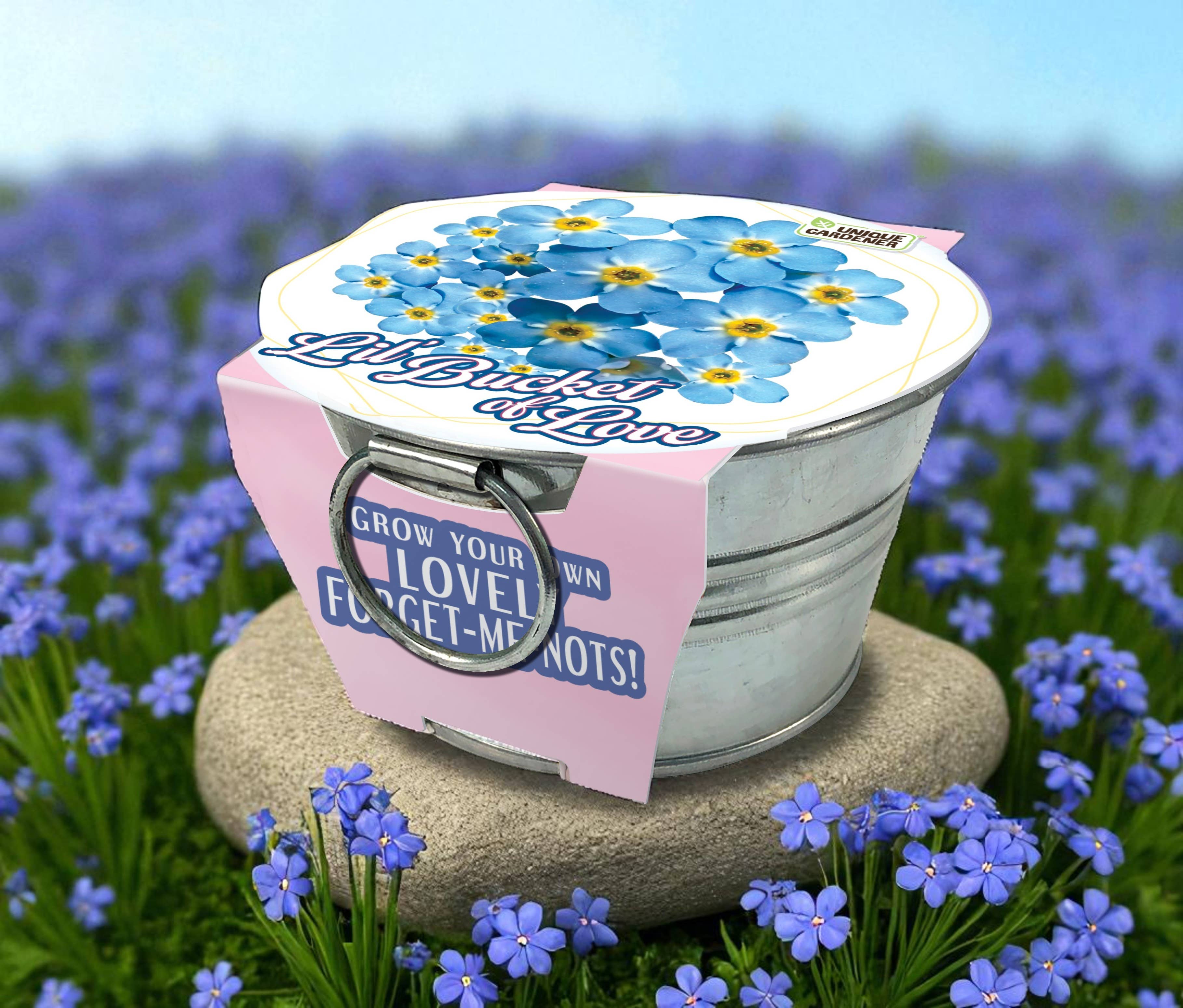 Silver Circle Products - Wholesale Plant Seeds - Lil' Bucket of Love - Grow Your Own Forget-Me-Nots2