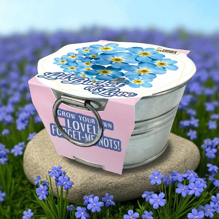 Silver Circle Products - Wholesale Plant Seeds - Lil' Bucket of Love - Grow Your Own Forget-Me-Nots2