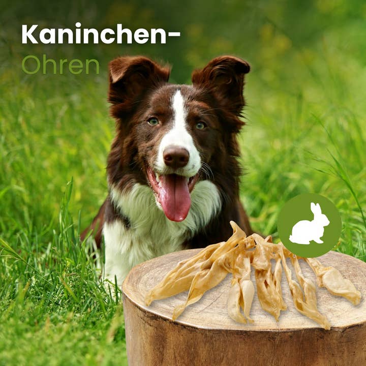 Kauartikel.com GmbH - Wholesale Pet Bone/Rawhide - Dog - Rabbit ears1