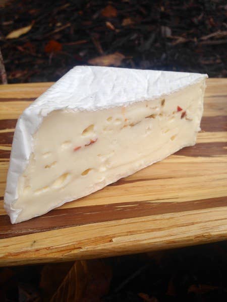 Tulip Tree Creamery - Wholesale Cheese - Snapdragon 1