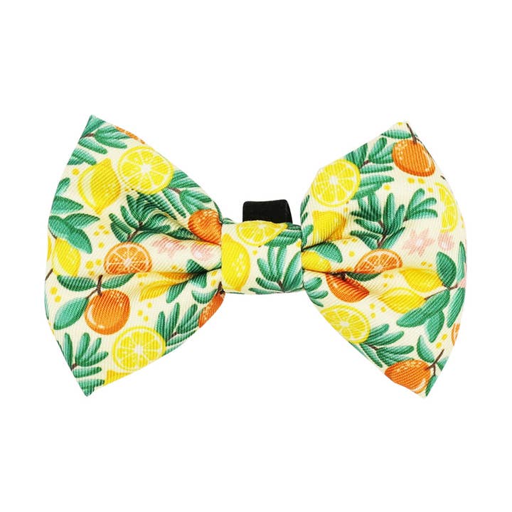 Cat Bowtie - Zest Friends for wholesale by SASSY WOOF