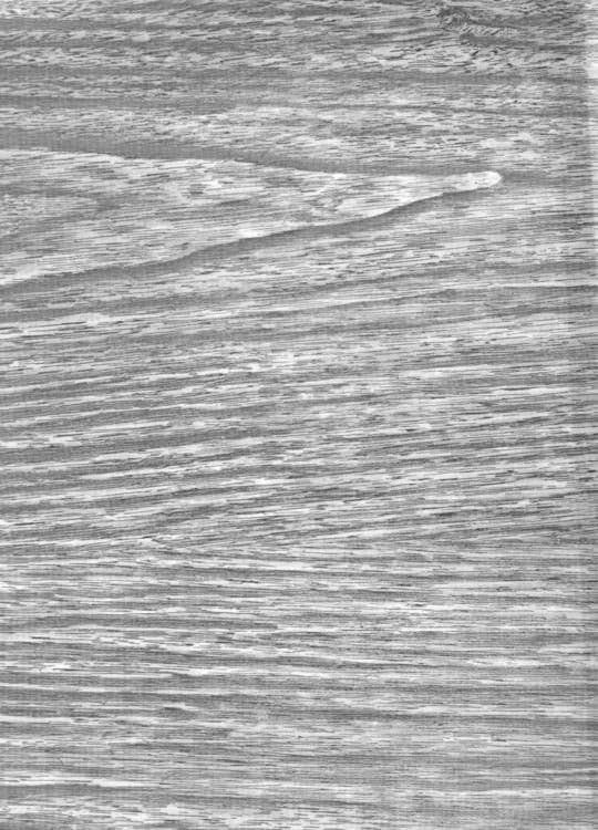 Oilcloth International - Wholesale Craft Supplies - Faux-Bois Wood Yardage4