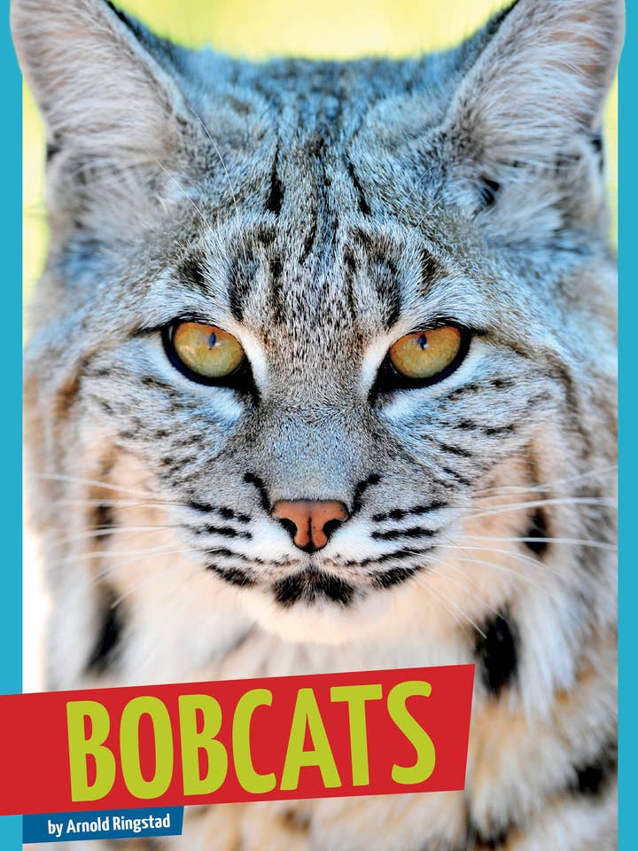 Bobcats voor wholesale door Amicus Publishing