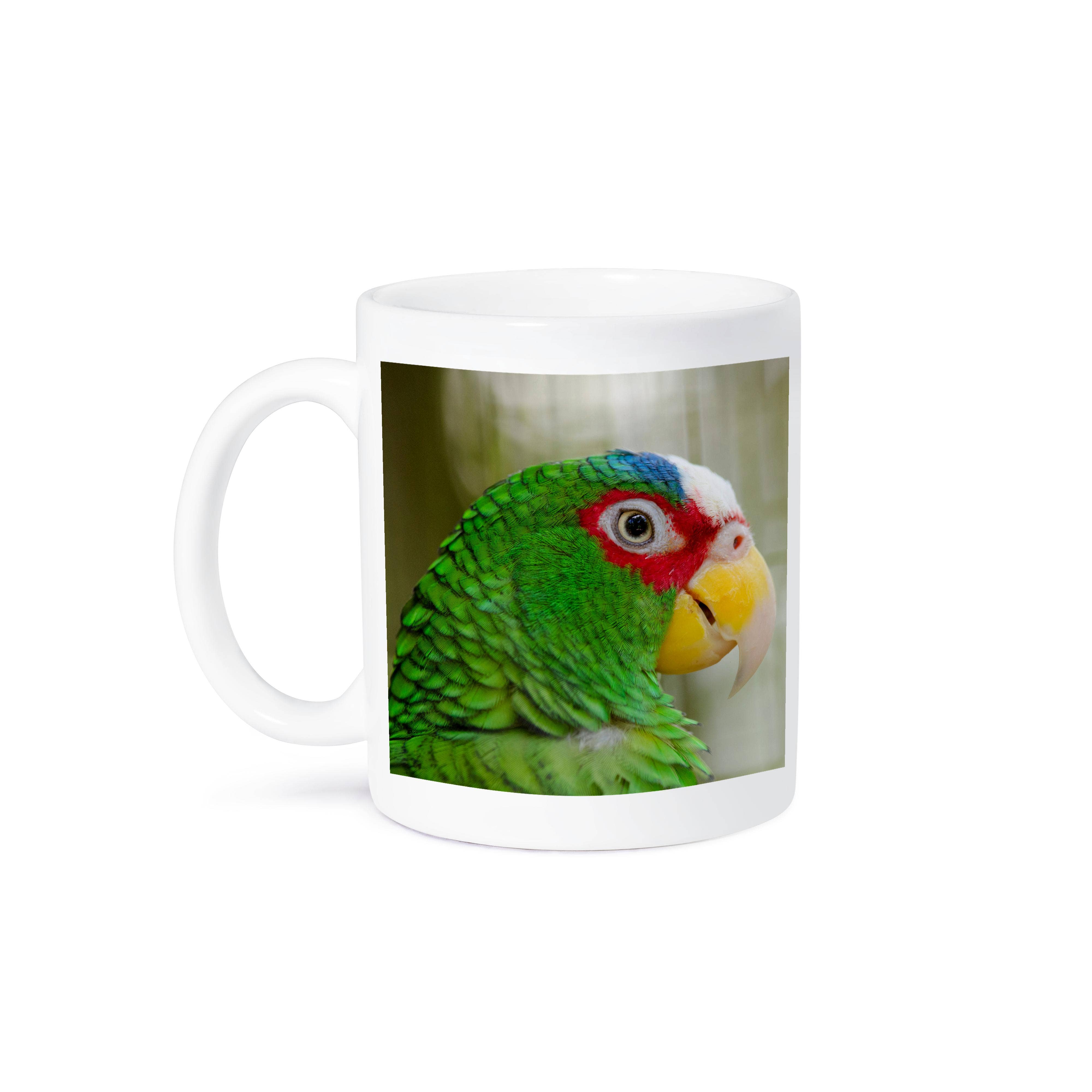 3dRose - Wholesale Coffee Mug - 3dRose, Belize, Belize City, Belize City Zoo. Captive White Fronted parrot., Mug8
