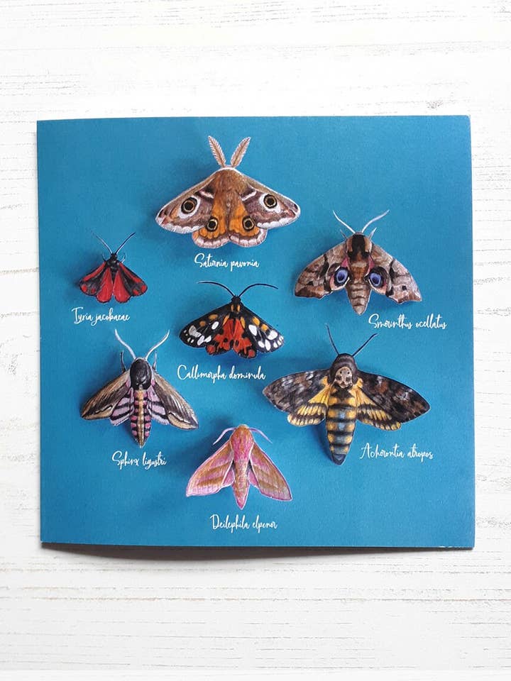 Moths Card - Moths Greeting Card for wholesale by Heidi Vilkman