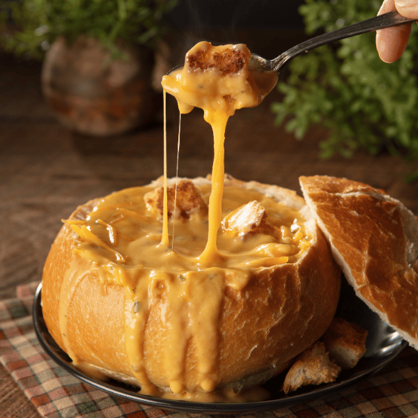 Wind & Willow - Wholesale Soup - Cheddar & Ale (cs 12) - Soup Mixes1