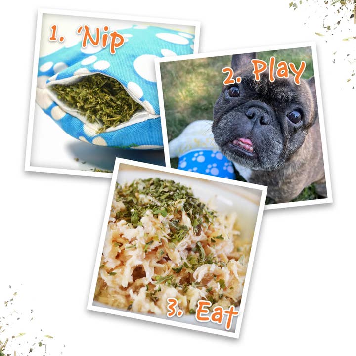 SmarterPaw | Meowijuana & Doggijuana - Wholesale Pet plush toy – Dog - Get the Munchies Pup Cup Refillable Dog Toy4