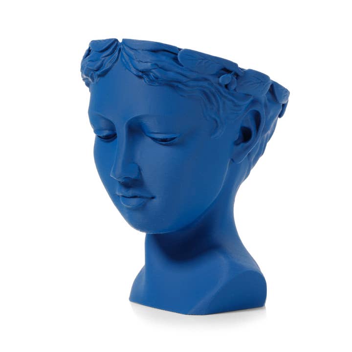 Ingadi - Wholesale Plant Pot - VENUS ELEGANCE: ECO-FRIENDLY 3D-PRINTED HEAD PLANTER - Blue