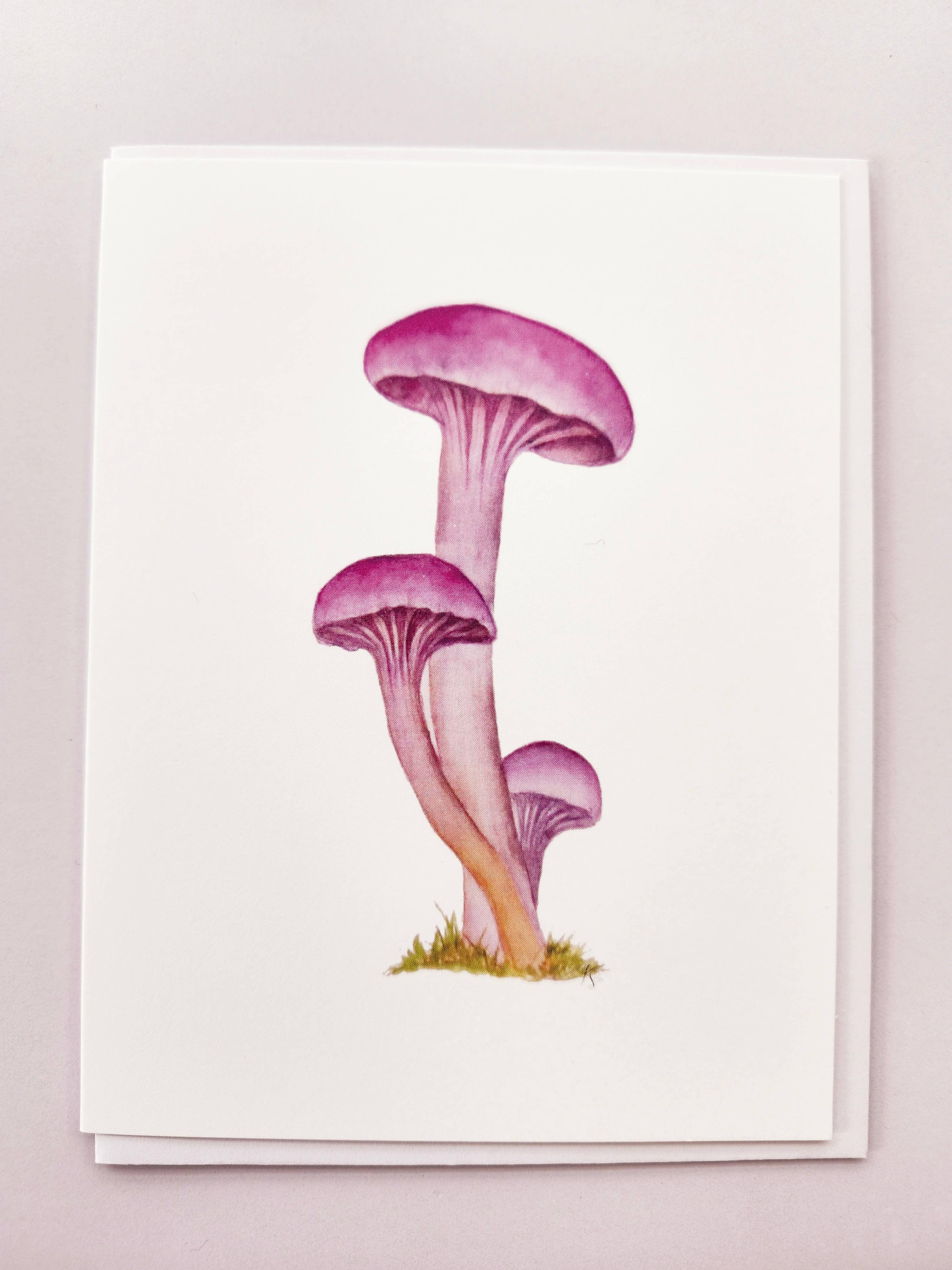 Redbriar Studio - Wholesale Stationery/Notecard Set - Notecards24