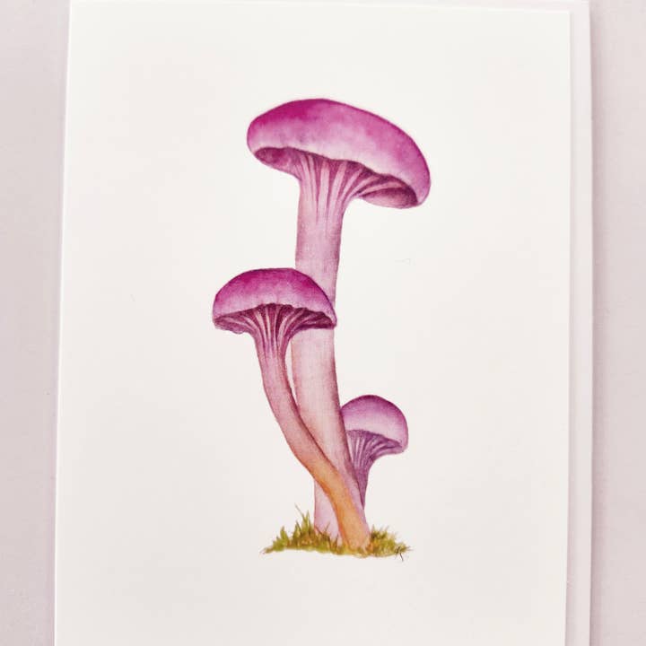 Redbriar Studio - Wholesale Stationery/Notecard Set - Notecards24