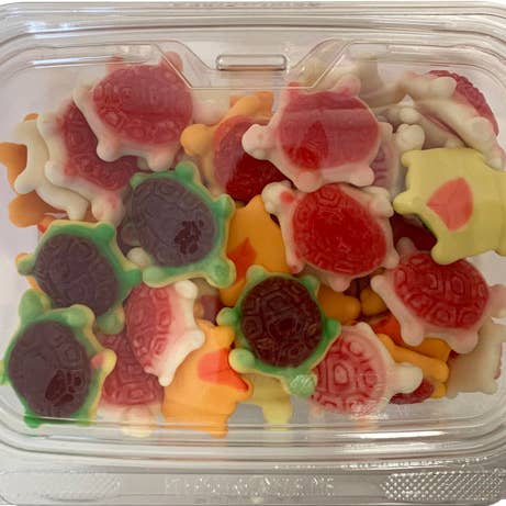 Hudson Meat Company - Wholesale Gummy - TUB GUMMI TURTLES - JLM TUB0