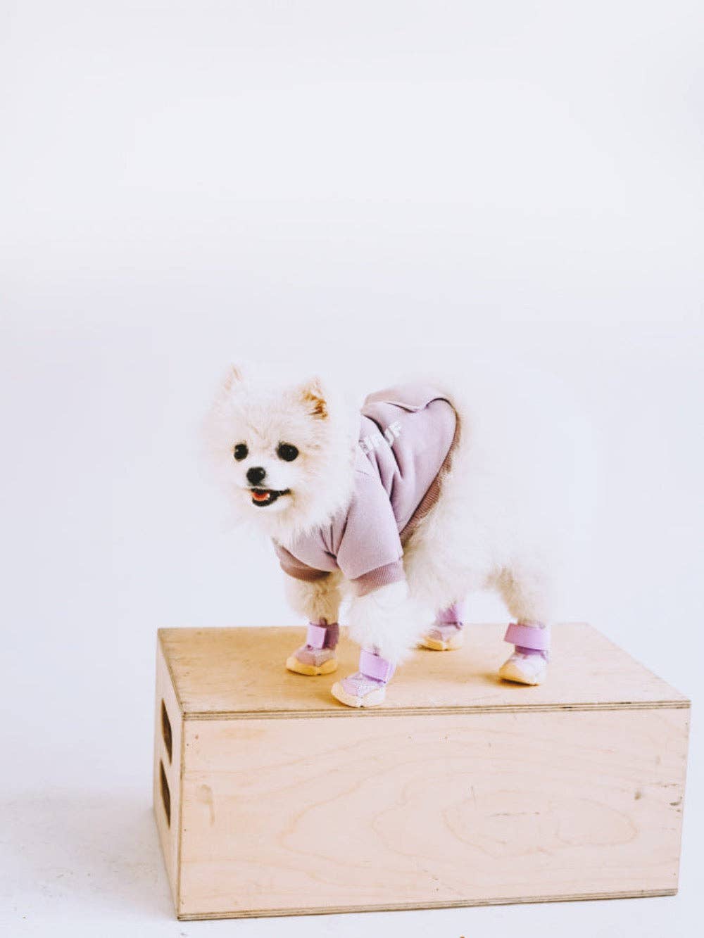 RIFRUF - Vente Bottines – chien - César 117