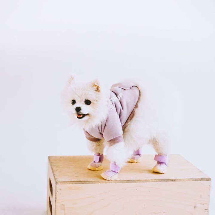 RIFRUF - Vente Bottines – chien - César 117