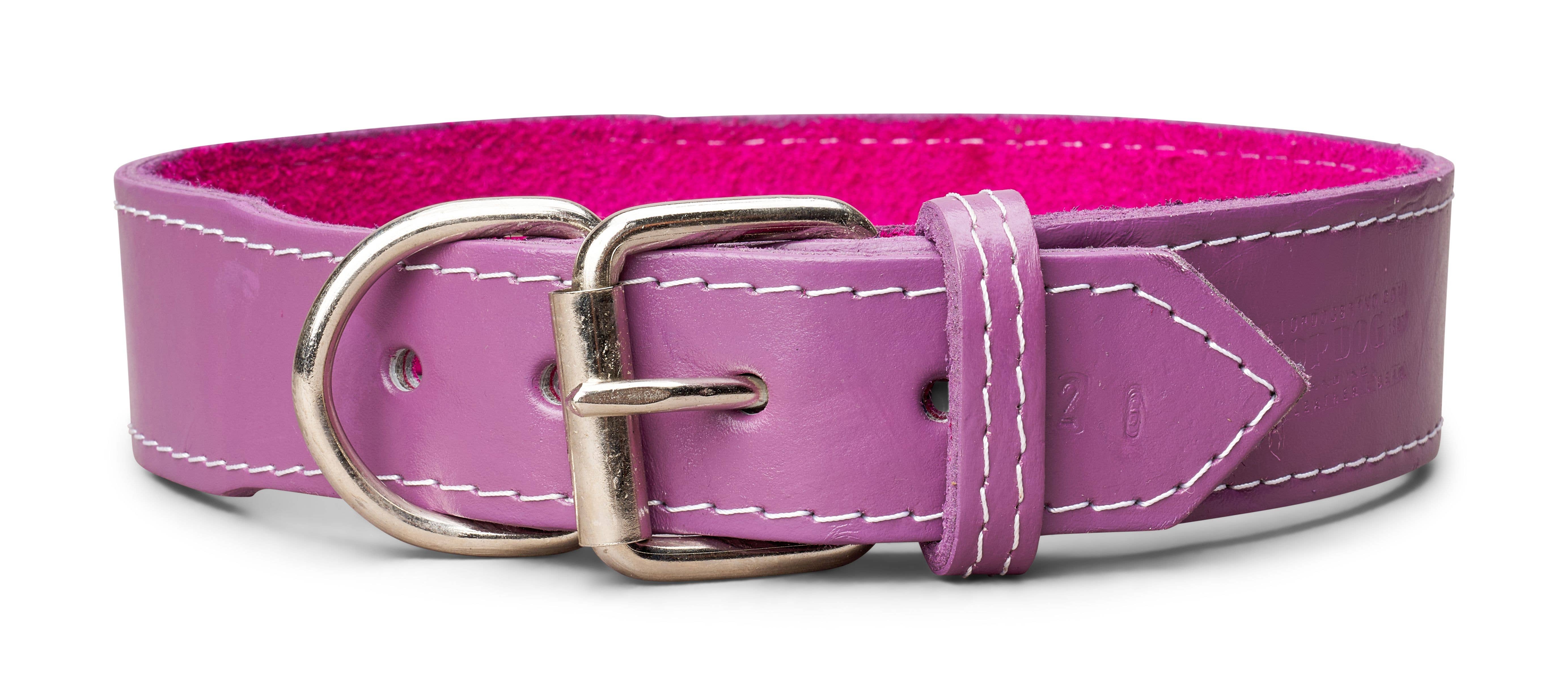 TOP DOG BRAND INC - Wholesale Pet Collar - Dog - 1 3/4 Inch Wide Plain Leather Collars13