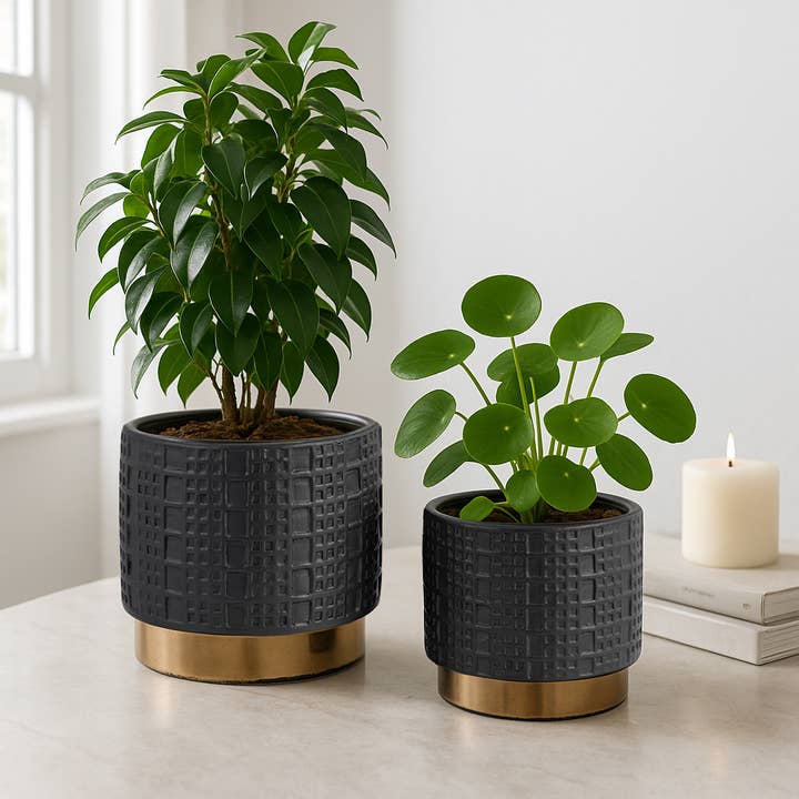 Sagebrook Home - Wholesale Plant Pot - Planter Set of 2 - Black Ceramic Raised Mesh, 6/8 in.1