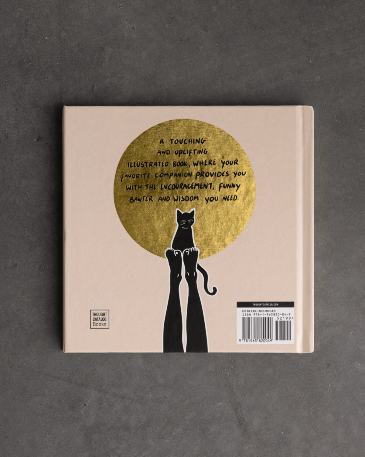 Thought Catalog - Wholesale Pets - Conversations With My Cat - illustrated book3