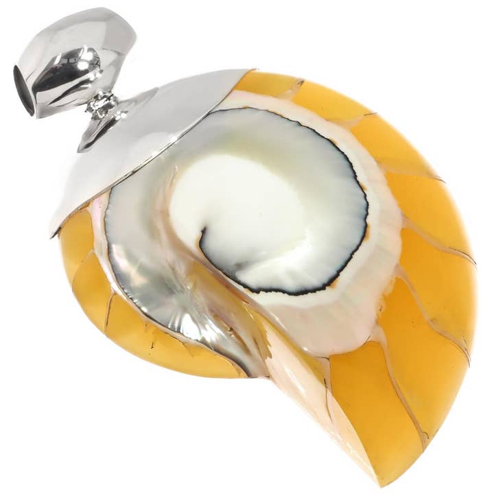 925 sterling silver cool yellow open nautilus shell sterling pendant, 2 3/8" for wholesale by FifiRose