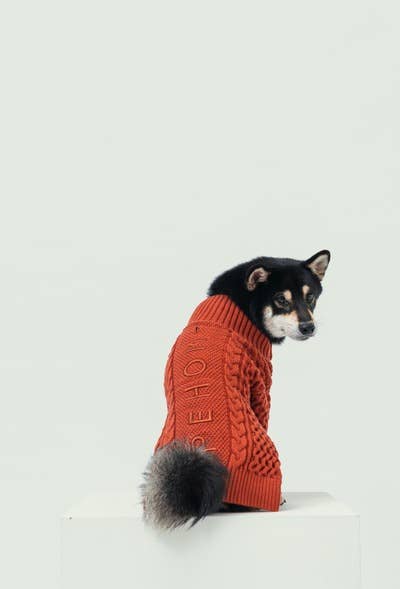 PEHOM - Venta al por mayor Jersey - Perros - Suéter con solapa para mascotas14