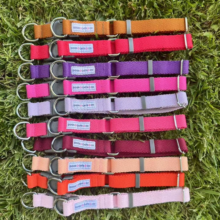 Blueberry Pet - Wholesale Pet collar – Dog - Best-Seller Double D-Ring Dog Collar -Must-Have for All Dogs90