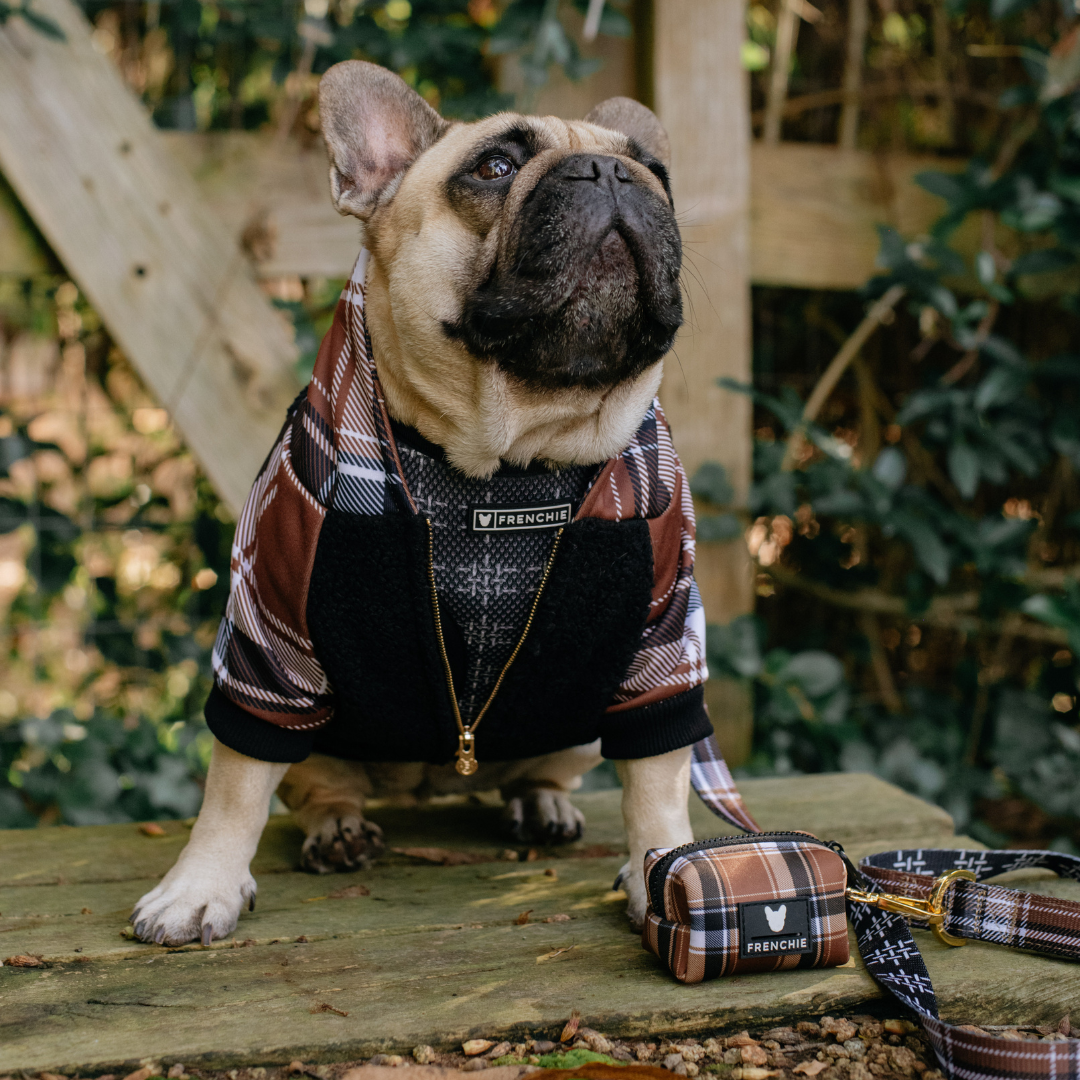 Frenchie - Wholesale Pet Hoodie - Dog - Frenchie Dog Hoodie - Cocoa Plaid13