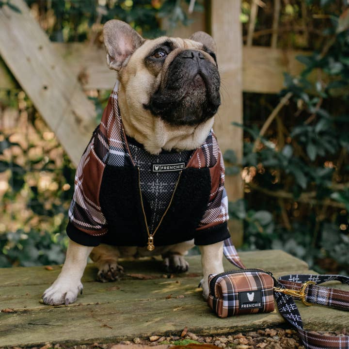 Frenchie - Wholesale Pet Hoodie - Dog - Frenchie Dog Hoodie - Cocoa Plaid13