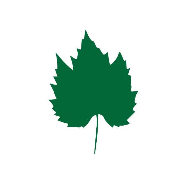 Artifacture - Wholesale Craft Supplies - Laser Cut Fall Themed Calligraphy Blanks (Paper)59