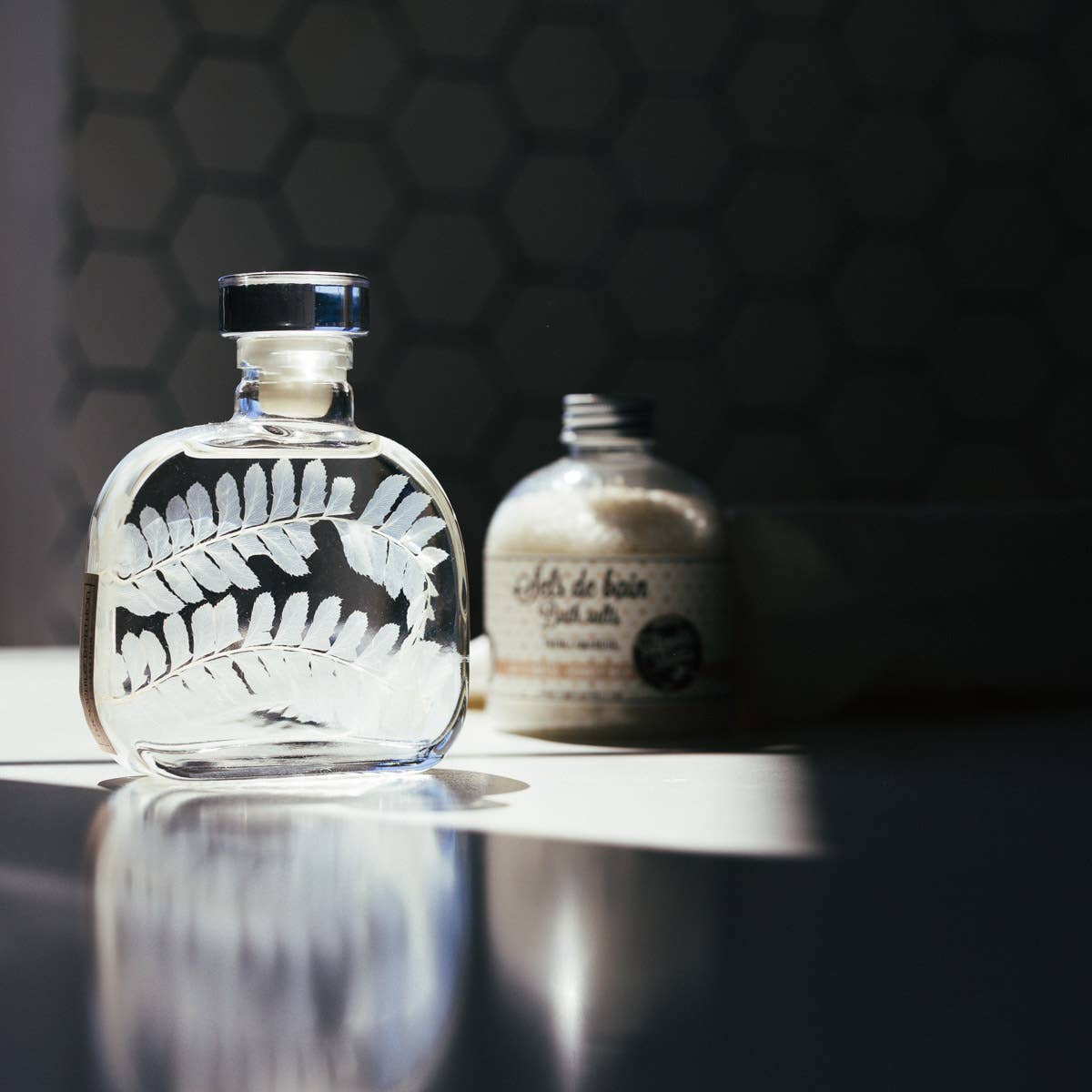 Theophile Berthon - Wholesale Live Plant - The Herbarium Capsule - White Leather Fern - Submerged Plant11