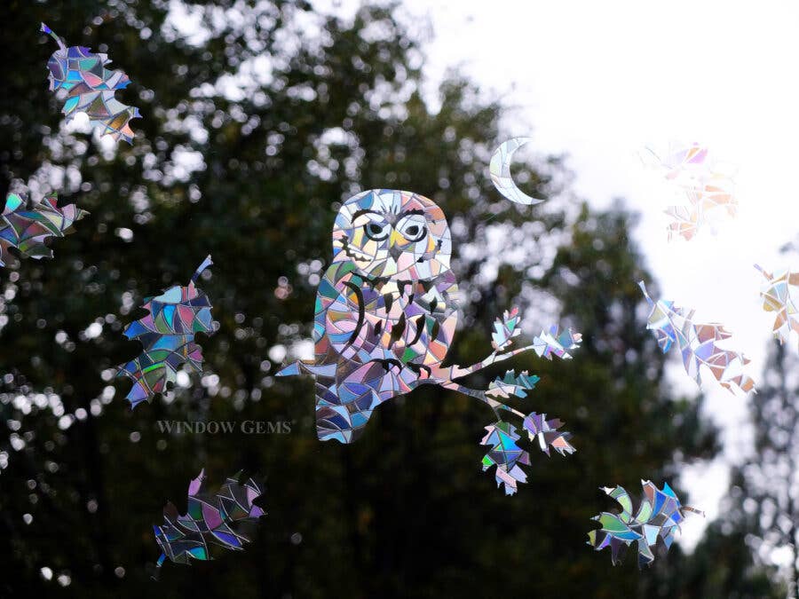 Window Gems – Suncatcher por atacado – Autocolantes de Janela com Coruja Saw-Whet - Prismas Captadores de Sol - Salve os pássaros3
