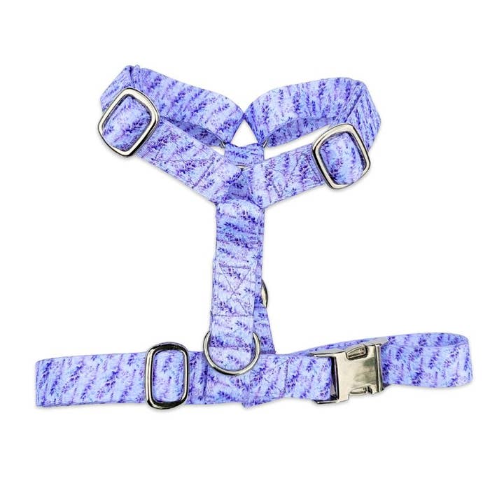 Harnais pour chien motif lavande pour la vente par Stylidog