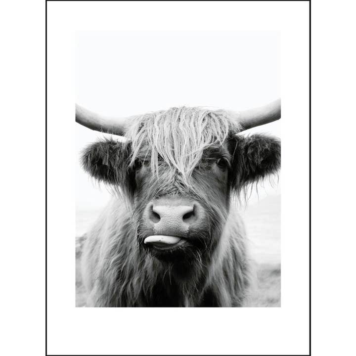 Polaroid Happy Cow pour la vente par GM decoratie