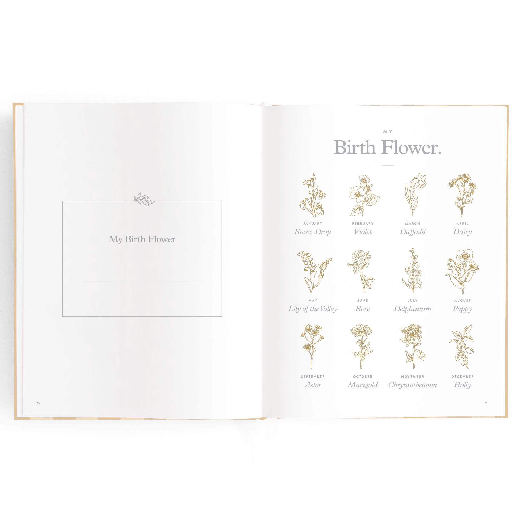 Fox & Fallow - Wholesale Memory book – Child & baby - Baby Book Coffee Stripe20