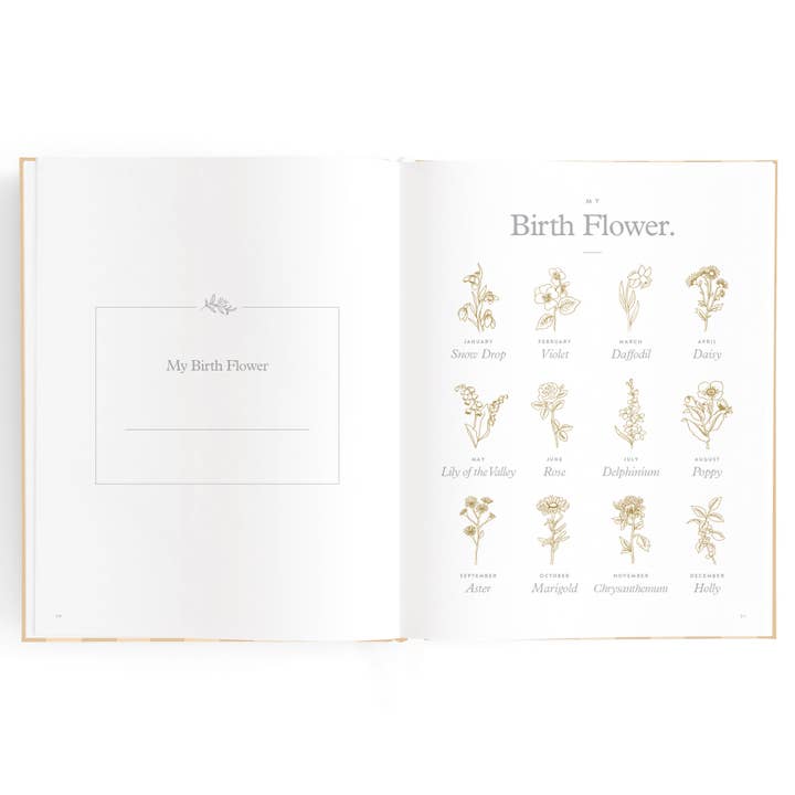 Fox & Fallow - Wholesale Memory book – Child & baby - Baby Book Coffee Stripe20