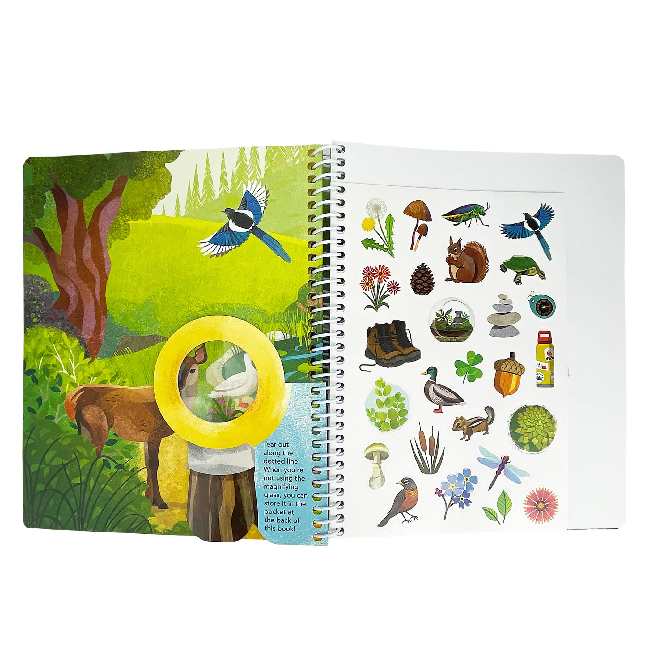 Cottage Door Press - Wholesale Nature & Outdoors Book - Outdoor Explorers: Take a Hike (Nature Trail Activity Book)2