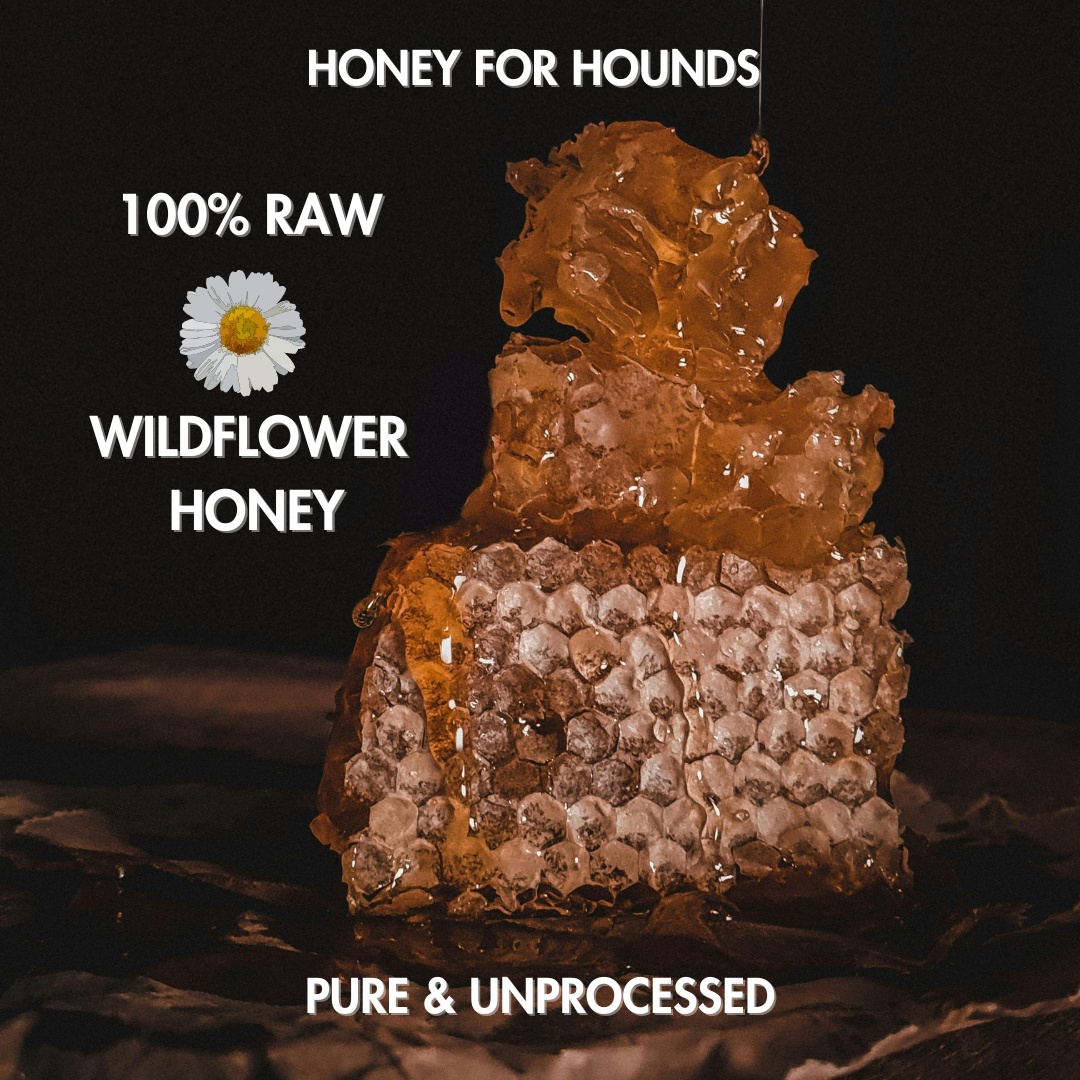 Pure + Good – wholesale Godis - Hund – Hundgodis: Honung för Hundar7