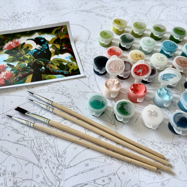 Adventure Collections - Vente Kit de bricolage - Kit de peinture par numéros Kererū3