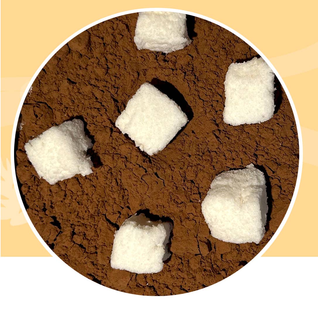 Le petit maître - Wholesale Hot Cocoa Mix/Kit - Cocoa powder & marshmallow2
