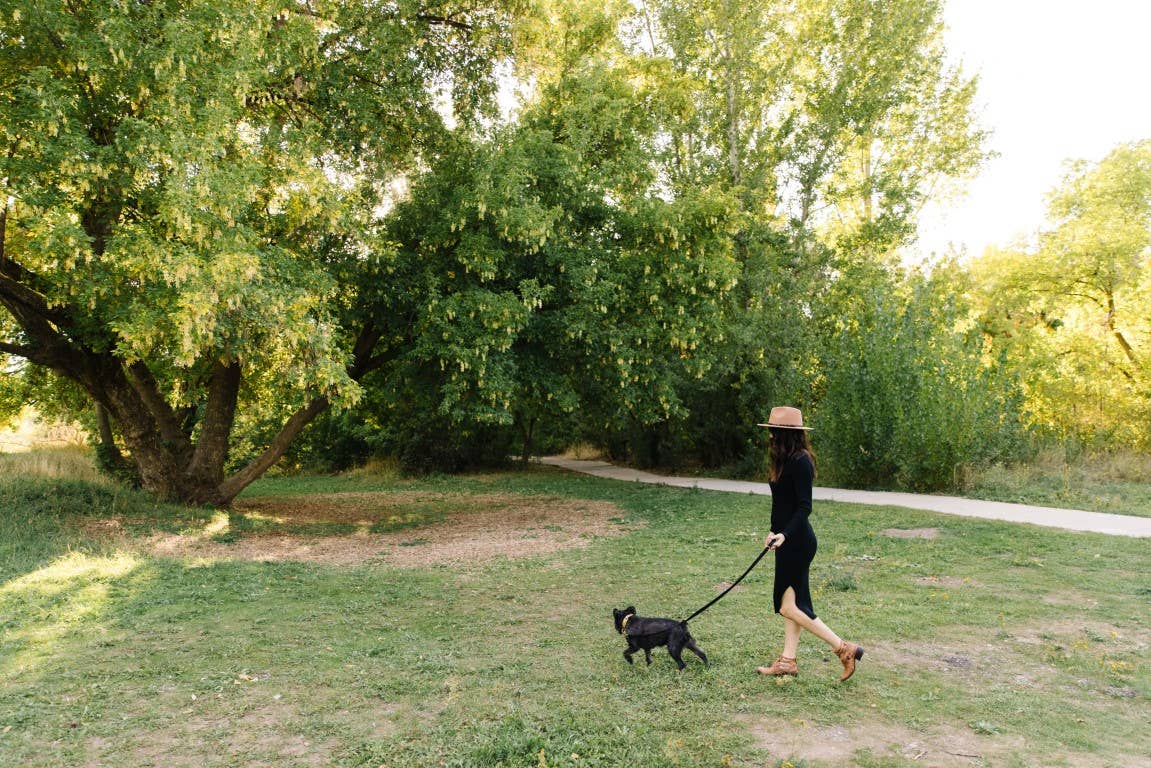 Zaley Designs - Wholesale Pet Leash - Dog - Solid Color Heavy Duty Dog Leash16