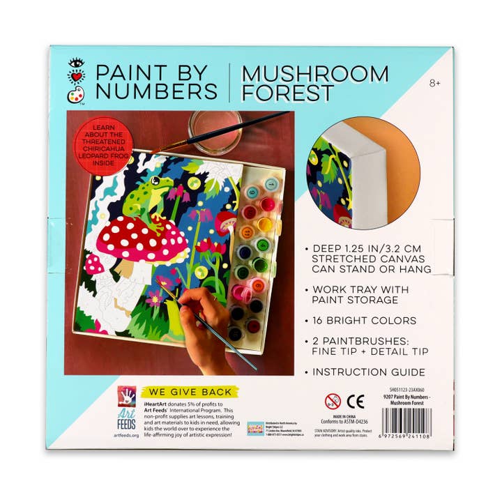 Bright Stripes - Wholesale DIY Craft Kit - Kids - iHeartArt Paint By Numbers Frog & Mushroom